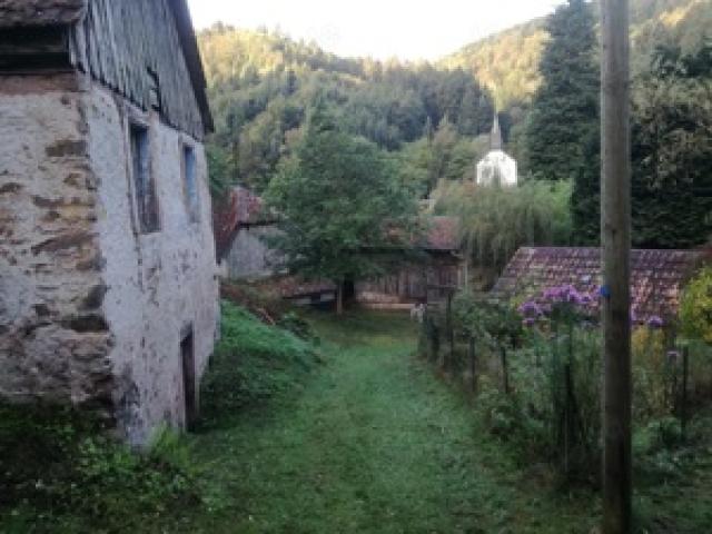 Bauernhaus in Idyllischer Lage im Naturpark der Hochvogesen - 1