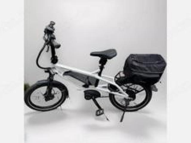 E-Bike Riese & Müller Trinker Vario 310 Km, BJ 2021 - 1