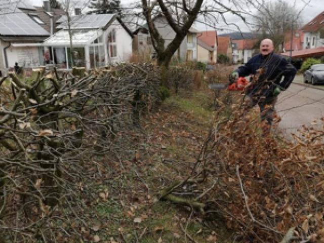 2025: Gartenarbeiten aller Art - 1